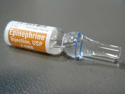 Epinephrine Pharmacokinetics - Beginner's Guide
